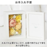 プリザーブドフラワー 写真立て 通販 Petit Jardin プチジャルダン フォトフレーム プリザードフラワー フラワーギフト お花 花 結婚祝い 新築祝い メモリアルフォト 還暦祝い 母の日