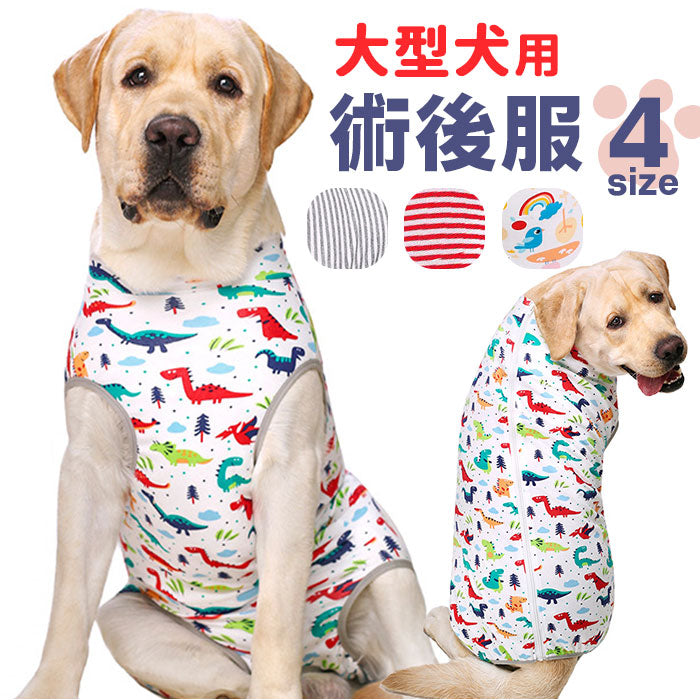 g6153_1200x1200.jpg?v=1725367968