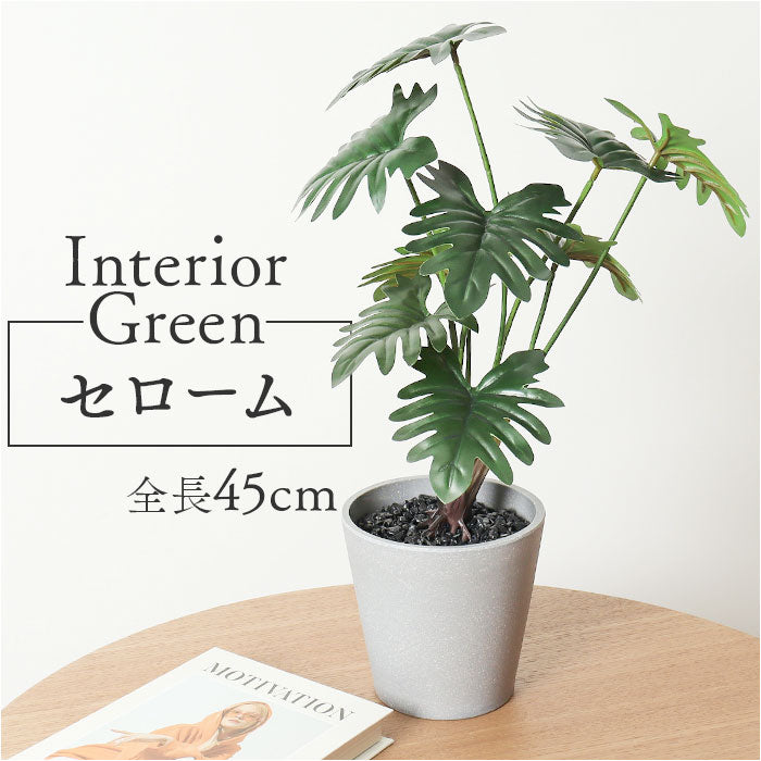 観葉植物 フェイク 大型 通販 フェイクグリーン セローム アーティフィシャルグリーン インテリアグリーン 人工観葉植物 大きめ 鉢植え ポ –  バックヤードファミリー