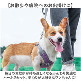 ハーネスリード 犬 通販 ハーネス リード付き ハーネスリードセット ハーネス&リード 胴輪 首輪 リードセット 犬具 簡単装着 一体型 犬用 猫用 ペット 小型犬 いぬ イヌ シンプル お散歩