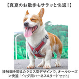 ハーネスリード 犬 通販 ハーネス リード付き ハーネスリードセット ハーネス&リード 胴輪 首輪 リードセット 犬具 簡単装着 一体型 犬用 猫用 ペット 小型犬 いぬ イヌ シンプル お散歩