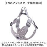 ハーネスリード 犬 通販 ハーネス リード付き ハーネスリードセット ハーネス&リード 胴輪 首輪 リードセット 犬具 簡単装着 一体型 犬用 猫用 ペット 小型犬 いぬ イヌ シンプル お散歩