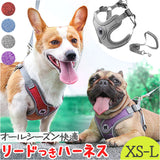 ハーネスリード 犬 通販 ハーネス リード付き ハーネスリードセット ハーネス&リード 胴輪 首輪 リードセット 犬具 簡単装着 一体型 犬用 猫用 ペット 小型犬 いぬ イヌ シンプル お散歩