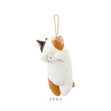 パスケース リール付き ぬいぐるみ 通販 定期入れ パスポーチ カード ホルダー カードケース カードホルダー リール ストラップ ICカード キーホルダー 伸びる やわらかい くびねっこ