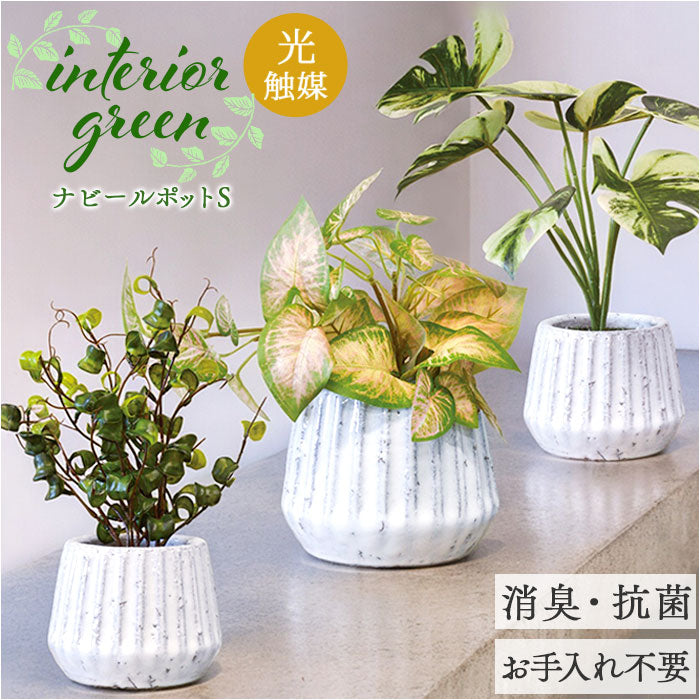 光触媒 フェイクグリーン 通販 人工観葉植物 イミテーショングリーン インテリアグリーン 消臭 抗菌 防カビ おしゃれ ポット 陶器 植物 –  バックヤードファミリー