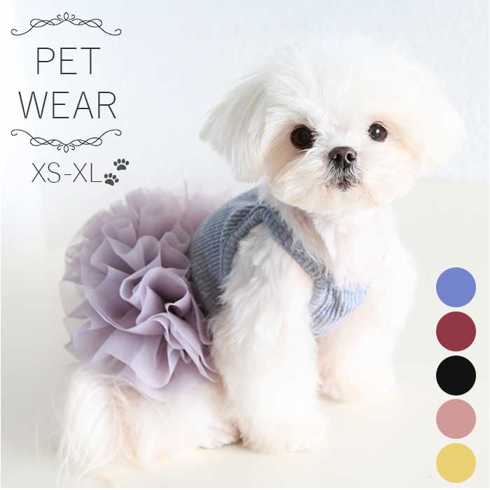 pk24ss18_1200x1200.jpg?v=