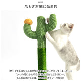 猫 爪とぎ ポール 通販 キャットタワー 爪研ぎ つめとぎ 爪研ぎポール 爪とぎポール 麻縄 サイザル麻 さぼてん サボテン ねこ ネコ キャット おもちゃ インテリア 猫用爪とぎ 爪とぎ用品