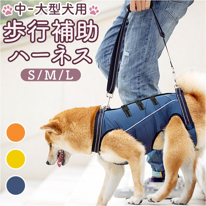 pmyhanesu30_1200x1200.jpg?v=