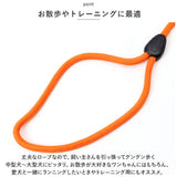 犬 リード おしゃれ 5m 通販 犬用リード ドックリード ロープ 綱 丸形 いぬ イヌ 中型犬 小型犬 ベット 丸ひも 丸紐 軽量 持ちやすい スタンダード シンプル ベーシック お散歩 公園
