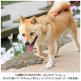 犬 リード おしゃれ 5m 通販 犬用リード ロープ 綱 丸形 ドックリード いぬ イヌ ベット 中型犬 小型犬 軽量 持ちやすい 丸ひも 丸紐 シンプル ベーシック スタンダード お散歩 公園