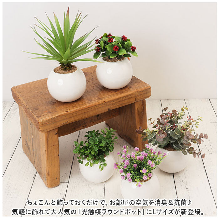 roundpotl_1_1200x1200.jpg?v=