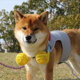 ドッグウェア 夏 m 通販 ネックファン 扇風機 首掛け扇風機 犬用 犬 ドッグファン 小型犬 中型犬 ドッグウェア 扇風機セット シンプル ファン お散歩 暑さ対策 おしゃれ ペット用品