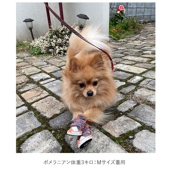 犬 くつ 通販 靴 ドッグ いぬ シューズ スニーカー 小型犬 中型犬 汚れ