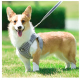 犬 リード ハーネス セット 通販 ハーネスリード 小型犬 可愛い 胴輪 犬用 猫用 中型犬 大型犬 ペット用品 いぬ ねこ おしゃれ 散歩 反射 丈夫 シンプル かわいい お散歩