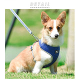 犬 リード ハーネス セット 通販 ハーネスリード 小型犬 可愛い 胴輪 犬用 中型犬 ペット用品 いぬ おしゃれ 散歩 反射 丈夫 シンプル かわいい お散歩