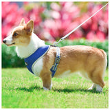 犬 リード ハーネス セット 通販 ハーネスリード 小型犬 可愛い 胴輪 犬用 中型犬 ペット用品 いぬ おしゃれ 散歩 反射 丈夫 シンプル かわいい お散歩