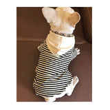 ドッグウェア 秋冬 通販 ラク 冬 防寒 ペット 服 かわいい 女の子 男の子 超小型犬 小型犬 犬服 犬用品 パーカー 犬の服 ペットウェア 洋服 犬 大きなサイズ xsサイズ sサイズ mサイズ lサイズ xlサイズ 2xlサイズ 3xlサイズ 4xlサイズ 大型犬