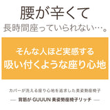 座椅子 リクライニング 通販 背筋がGUUUN 美姿勢座椅子リッチ カバー 洗える 腰痛 背すじ 姿勢 座イス 座布団 座ぶとん 高反発 沈み込みにくい 骨盤 リラックス ストレッチ チェア イス