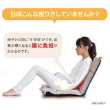 座椅子 リクライニング 通販 背筋がGUUUN 美姿勢座椅子リッチ カバー 洗える 腰痛 背すじ 姿勢 座イス 座布団 座ぶとん 高反発 沈み込みにくい 骨盤 リラックス ストレッチ チェア イス