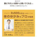 座椅子 リクライニング 通販 背筋がGUUUN 美姿勢座椅子リッチ カバー 洗える 腰痛 背すじ 姿勢 座イス 座布団 座ぶとん 高反発 沈み込みにくい 骨盤 リラックス ストレッチ チェア イス