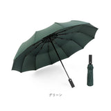 折りたたみ傘 自動開閉 晴雨兼用 通販 折り畳み傘 12本骨 傘 かさ カサ 日傘 メンズ レディース 折りたたみ日傘 折り畳み日傘 男の子 紫外線対策 おしゃれ シンプル 無地 ワンタッチ