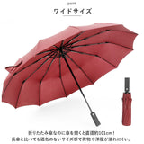折りたたみ傘 自動開閉 晴雨兼用 通販 折り畳み傘 12本骨 傘 かさ カサ 日傘 メンズ レディース 折りたたみ日傘 折り畳み日傘 男の子 紫外線対策 おしゃれ シンプル 無地 ワンタッチ