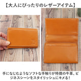 アーノルドパーマー 名刺入れ ArnoldPalmer 4AP3638 通販 名刺ケース カード入れ カードケース 名刺 入れ カード ケース メンズ レディース ブランド 男性 紳士 女性 社会人 薄い 薄型