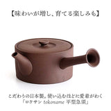 急須 平型 ロクサン 平型急須 通販 おしゃれ ティーポット 日本製 取っ手 お茶 かわいい ギフト きゅうす シンプル 茶器 ポット 贈り物 常滑焼 来客用 和モダン 和食器 オシャレ 台所用品