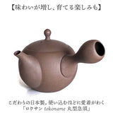 急須 丸型 ロクサン 丸型急須 通販 おしゃれ ティーポット 日本製 取っ手 お茶 かわいい ギフト きゅうす シンプル 茶器 ポット 贈り物 常滑焼 来客用 和モダン 和食器 オシャレ 台所用品