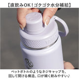 タケヤ 水筒 1.17 通販 タケヤフラスク アクティブライン2 1.17L 1170ml マグボトル 直飲み水筒 保冷 直飲み ステンレス 真空断熱 TAKEYA FLASK スポーツ ACTIVE LINE2 飲み口広い ジム