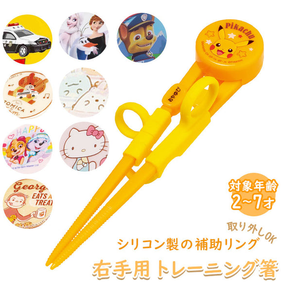 お箸 子供用 通販 おはし おけいこ 持ち方 キッズ 子供 トレーニング 矯正箸 練習 子供用お箸 スケーター キャラクター 右手用 しつけ箸 女の子 男の子