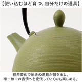南部鉄器 急須 おしゃれ 通販 日本製 鉄瓶 鉄急須 岩鋳 お茶 ポット 藍花 aika 日の丸 鉄製 冷めにくい 盛岡 南部 鋳鉄 南部鉄 南部鉄瓶 お湯 茶葉 来客 和室 ギフト 贈り物 日本 国産