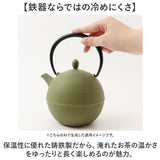 南部鉄器 急須 おしゃれ 通販 日本製 鉄瓶 鉄急須 岩鋳 お茶 ポット 藍花 aika 日の丸 鉄製 冷めにくい 盛岡 南部 鋳鉄 南部鉄 南部鉄瓶 お湯 茶葉 来客 和室 ギフト 贈り物 日本 国産