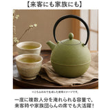 南部鉄器 急須 おしゃれ 通販 日本製 鉄瓶 鉄急須 岩鋳 お茶 ポット 藍花 aika 日の丸 鉄製 冷めにくい 盛岡 南部 鋳鉄 南部鉄 南部鉄瓶 お湯 茶葉 来客 和室 ギフト 贈り物 日本 国産