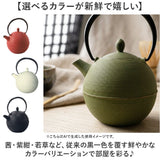 南部鉄器 急須 おしゃれ 通販 日本製 鉄瓶 鉄急須 岩鋳 お茶 ポット 藍花 aika 日の丸 鉄製 冷めにくい 盛岡 南部 鋳鉄 南部鉄 南部鉄瓶 お湯 茶葉 来客 和室 ギフト 贈り物 日本 国産