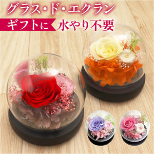 ブリザードフラワ- 通販 フラワーギフト ガラス製 フラワーアレンジメント ガラスドーム お花 花 かわいい おしゃれ フラワー 結婚祝い 新築祝い 玄関 リビング 引越し祝い インテリア