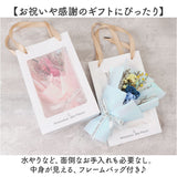 ブリザードフラワ- 通販 ドライフラワー フラワーギフト 花束 お花 花 フラワーアレンジメント フラワー かわいい おしゃれ 結婚祝い 新築祝い 玄関 リビング 引越し祝い インテリア 退職