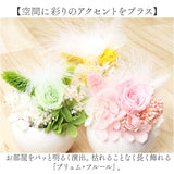 ブリザードフラワ- 通販 フラワーアレンジメント フラワーギフト お花 花 かわいい おしゃれ 結婚祝い 新築祝い 玄関 リビング 洗面所 トイレ フラワー 引越し祝い 退職 退職祝い