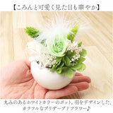 ブリザードフラワ- 通販 フラワーアレンジメント フラワーギフト お花 花 かわいい おしゃれ 結婚祝い 新築祝い 玄関 リビング 洗面所 トイレ フラワー 引越し祝い 退職 退職祝い