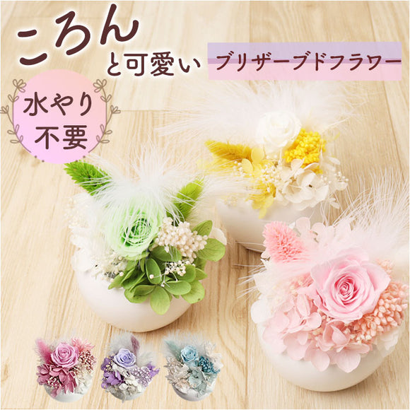 ブリザードフラワ- 通販 フラワーアレンジメント フラワーギフト お花 花 かわいい おしゃれ 結婚祝い 新築祝い 玄関 リビング 洗面所 トイレ フラワー 引越し祝い 退職 退職祝い