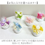 ブリザードフラワ- 通販 フラワーアレンジメント フラワーギフト お花 花 かわいい おしゃれ 結婚祝い 新築祝い 玄関 リビング 洗面所 トイレ フラワー 引越し祝い 退職 退職祝い