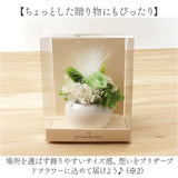 ブリザードフラワ- 通販 フラワーアレンジメント フラワーギフト お花 花 かわいい おしゃれ 結婚祝い 新築祝い 玄関 リビング 洗面所 トイレ フラワー 引越し祝い 退職 退職祝い