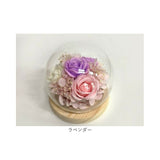 ブリザードフラワ- 通販 ガラスドーム フラワーギフト ガラス製 お花 花 フラワーアレンジメント フラワー かわいい おしゃれ 引越し祝い 結婚祝い 新築祝い 玄関 リビング 退職 退職祝い