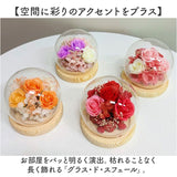 ブリザードフラワ- 通販 ガラスドーム フラワーギフト ガラス製 お花 花 フラワーアレンジメント フラワー かわいい おしゃれ 引越し祝い 結婚祝い 新築祝い 玄関 リビング 退職 退職祝い