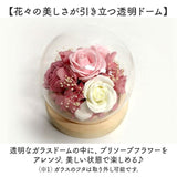 ブリザードフラワ- 通販 ガラスドーム フラワーギフト ガラス製 お花 花 フラワーアレンジメント フラワー かわいい おしゃれ 引越し祝い 結婚祝い 新築祝い 玄関 リビング 退職 退職祝い