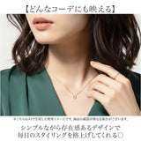 ネックレス ホースシュー 通販 サージカルステンレス ジュエリー きれいめ レディースアクセサリー 首飾り 華奢 エレガント シンプル おしゃれ 大人 女性 オフィス 馬 普段使い 贈り物 鎖