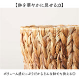 鉢カバー 4号 通販 アミアミポット4号 植木鉢カバー プランターカバー 4号鉢 花 ホワイエ 植木鉢 鉢 プランター カゴ ポット フラワーアレンジメント 鉢植え 室内 園芸 観葉植物 多肉植物