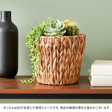 鉢カバー 4号 通販 アミアミポット4号 植木鉢カバー プランターカバー 4号鉢 花 ホワイエ 植木鉢 鉢 プランター カゴ ポット フラワーアレンジメント 鉢植え 室内 園芸 観葉植物 多肉植物