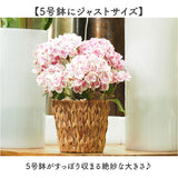 鉢カバー 5号 通販 アミアミポット5号 植木鉢カバー プランターカバー 5号鉢 花 ホワイエ 植木鉢 鉢 プランター カゴ ポット フラワーアレンジメント 鉢植え 室内 園芸 観葉植物 多肉植物