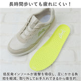 Arnold Palmer アーノルドパーマー レディース スニーカー 軽量 通販 ひも靴 紐靴 運動靴 ランニングシューズ ウォーキングシューズ カジュアルシューズ メッシュ 通気性 AN0612 靴